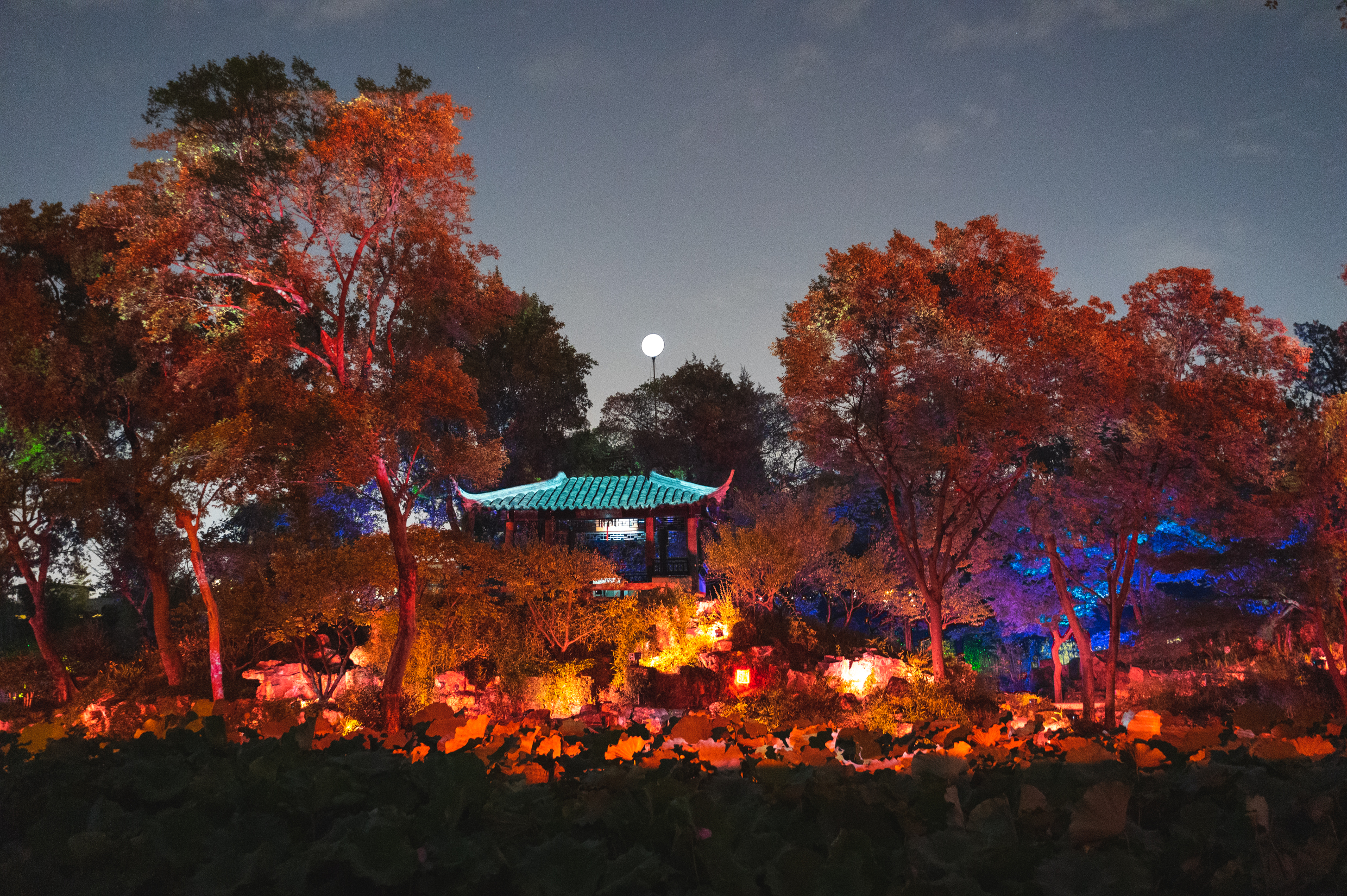 苏州园林旅游必游景点拙政园,苏州园林一日游拙政园