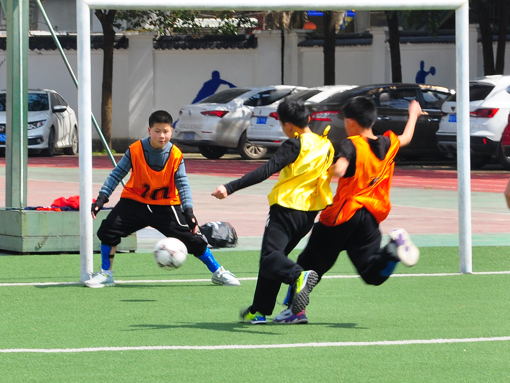 绿茵场上的精彩,绿茵驰骋足够精彩