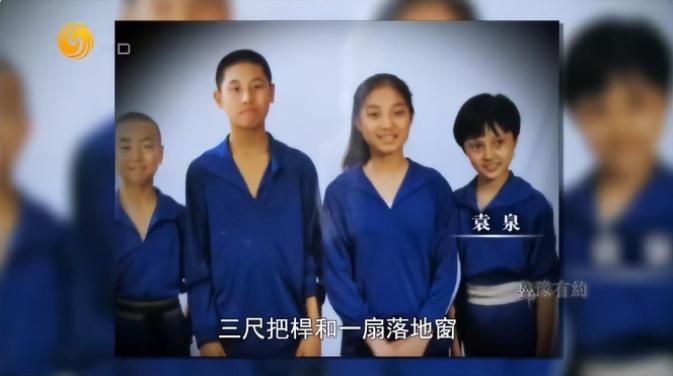 袁泉6根钢钉,袁泉走红毯打了多少明星的脸