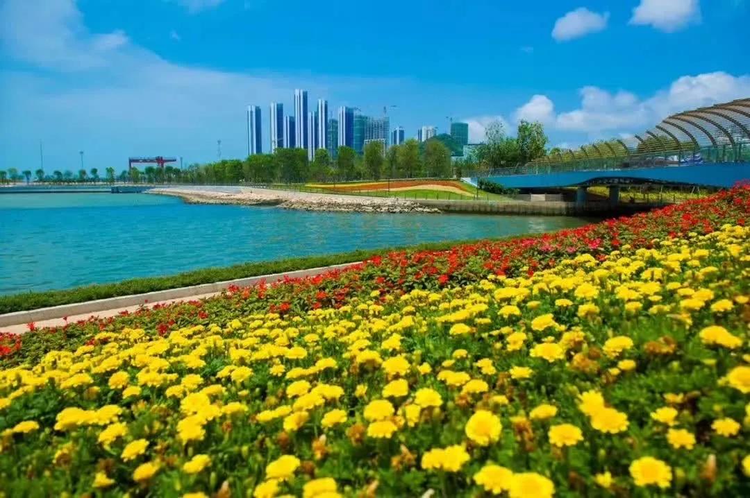 2022新闻月历：和深圳一起向未来