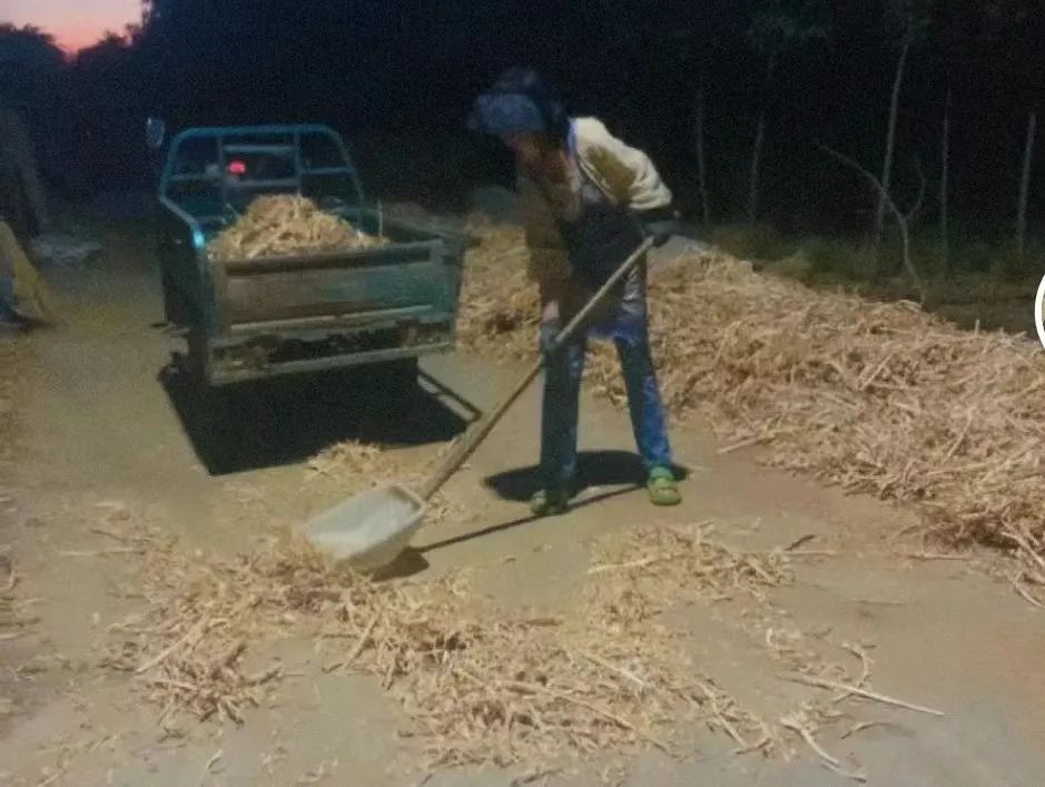 95后女大学生辞职返乡种地,95后女生返乡创业养鹅