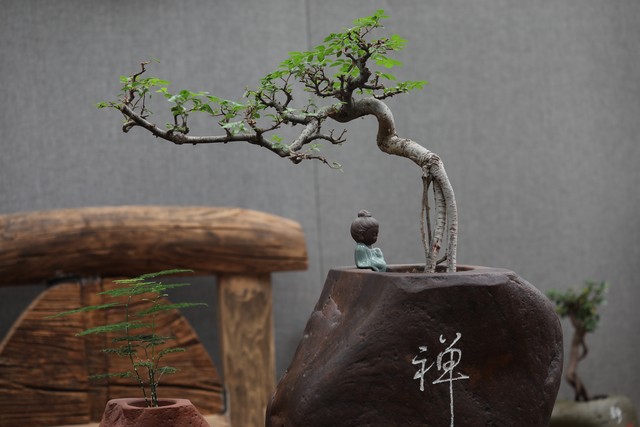 传统文化与花艺的融合,传统文化和现代艺术结合作品