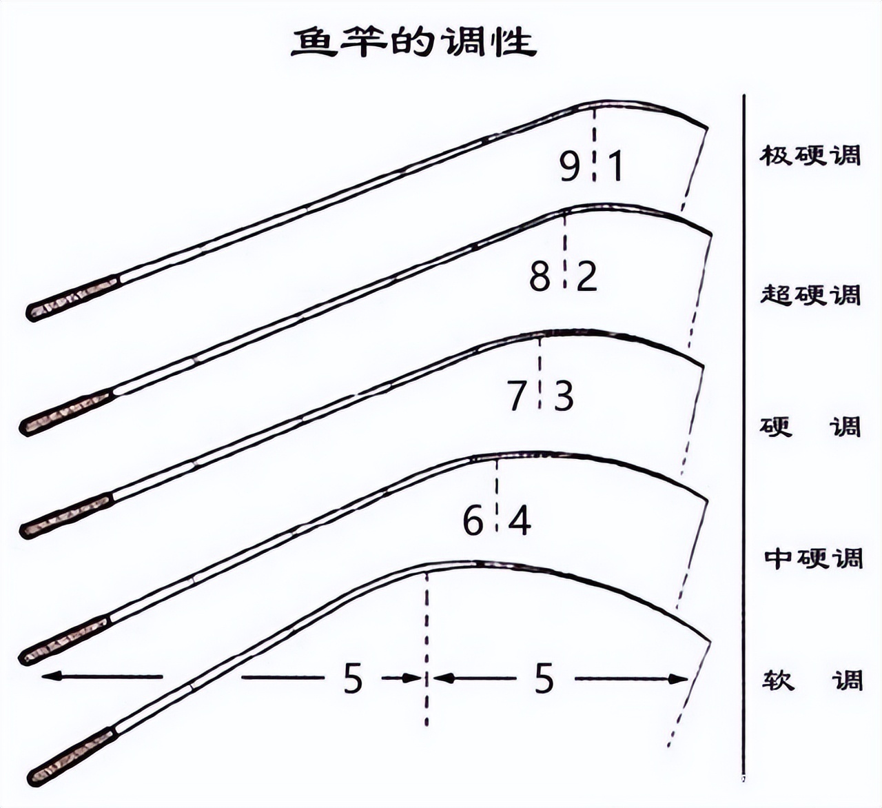 新手买钓鱼竿怎么选择钓位,钓鱼如何选择钓竿