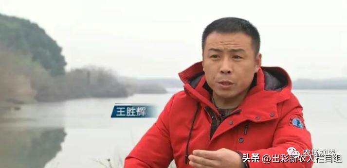 出彩农业工资,河南农村出彩新农人