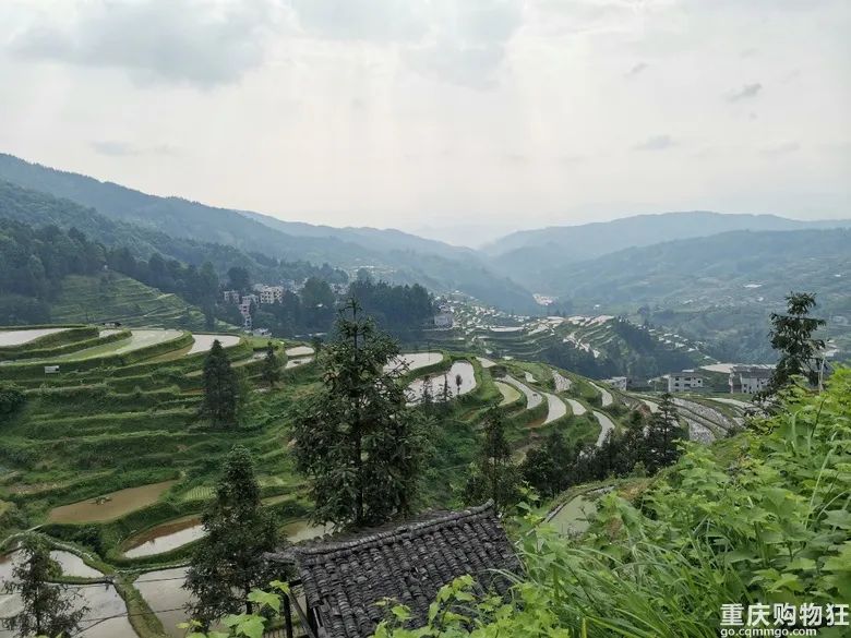 小长假旅游景点大全,夏季周边旅游美食之旅