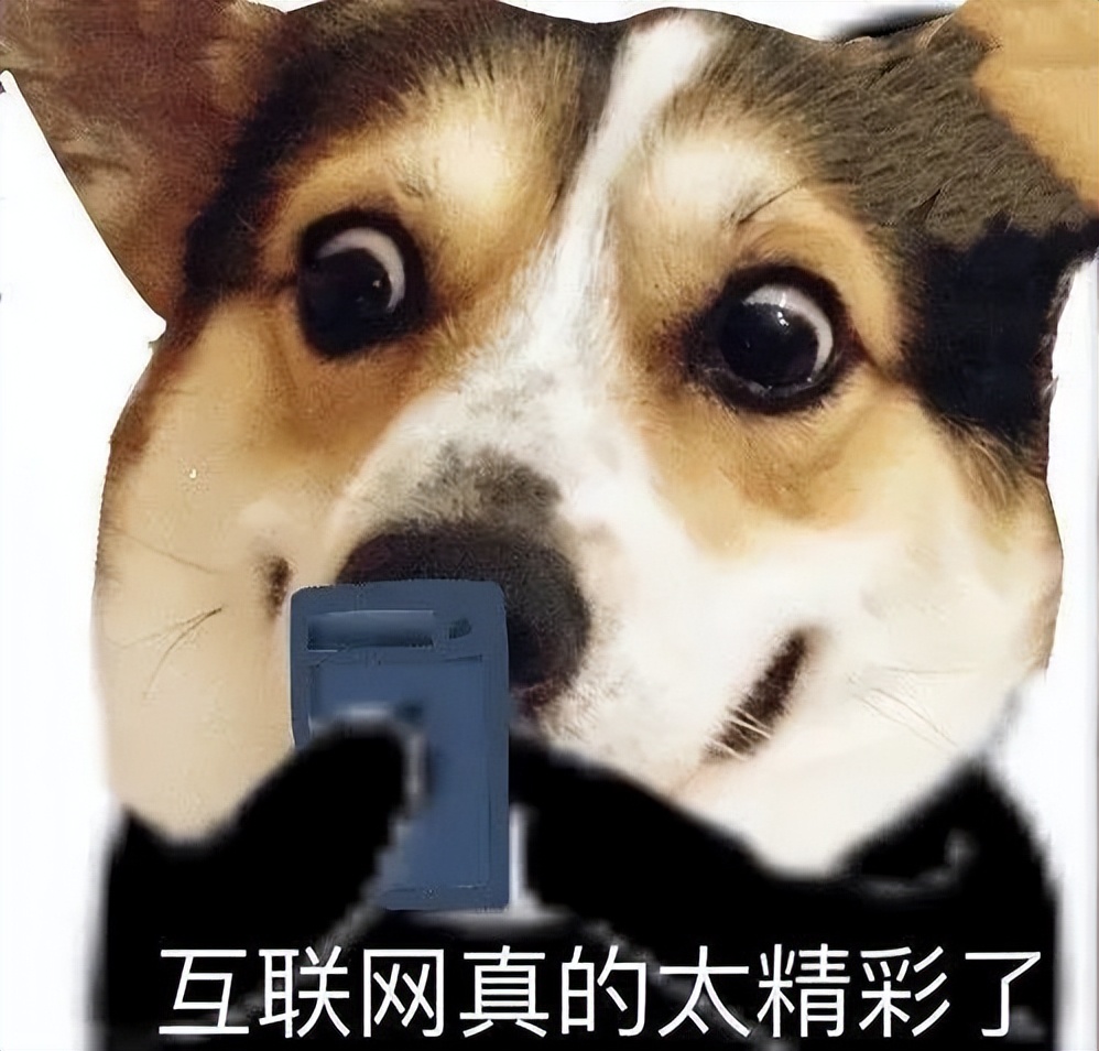 年薪60万和公务员如何选择,公务员年薪17万什么水平