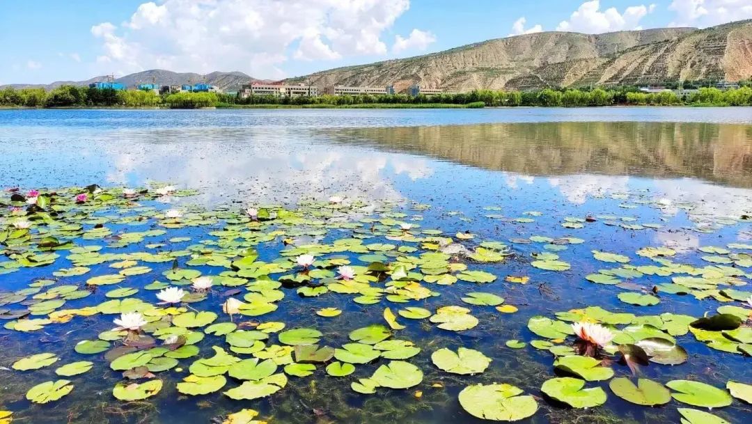 遇见20岁的男孩,遇见20年前的人