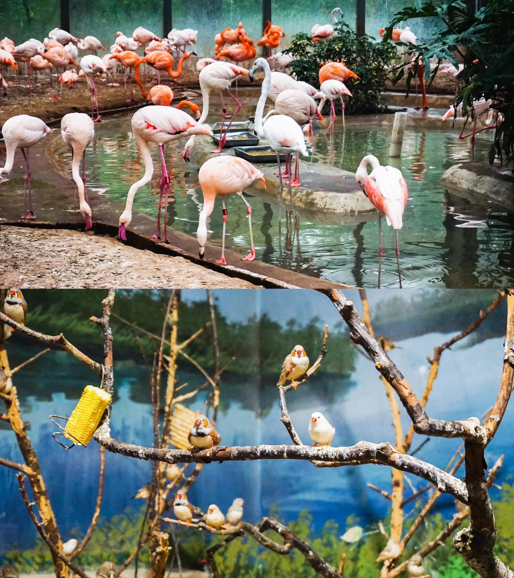 暑期亲子旅行景点推荐