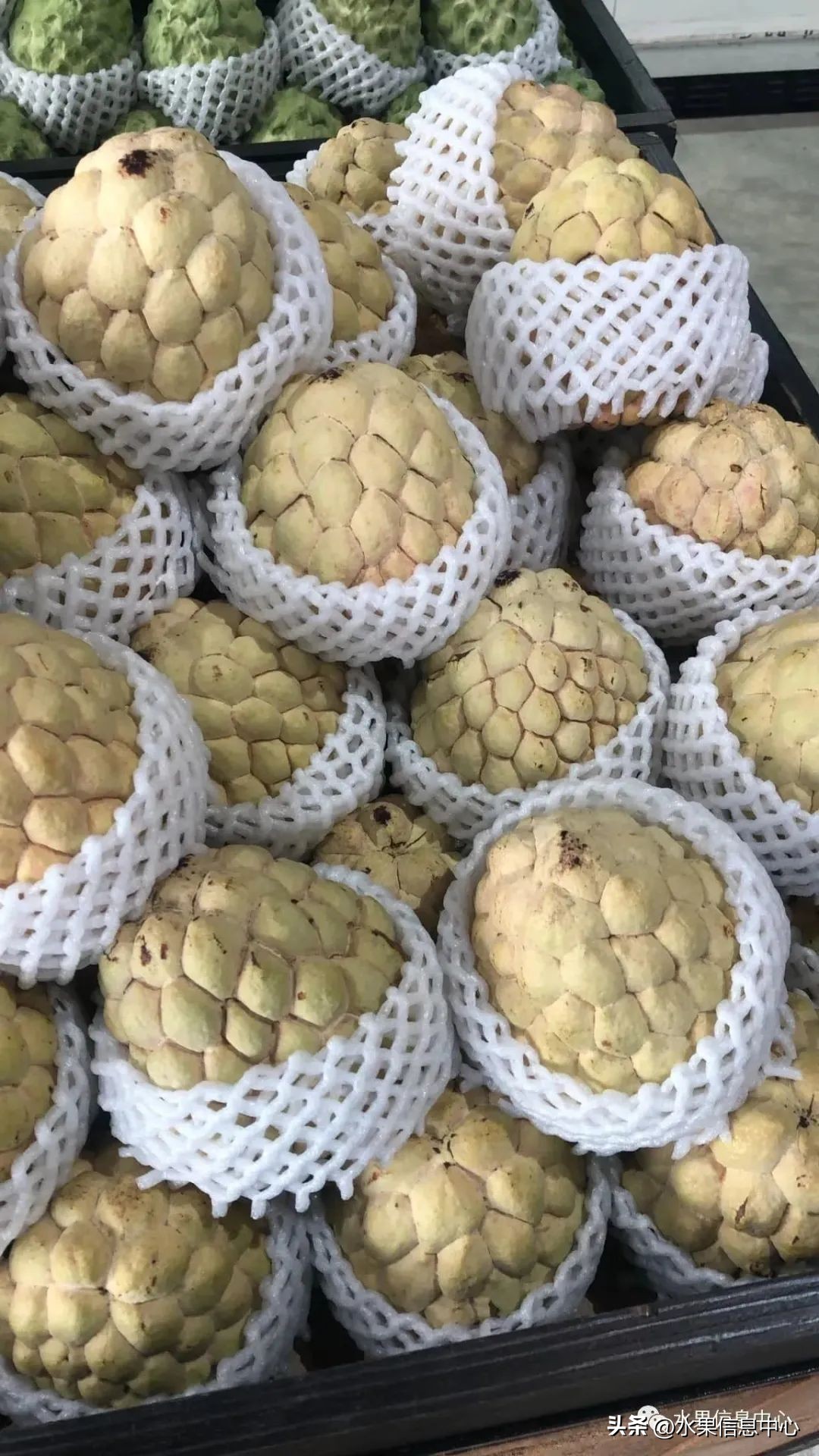 榴莲释迦又叫什么,释迦图片高清大图