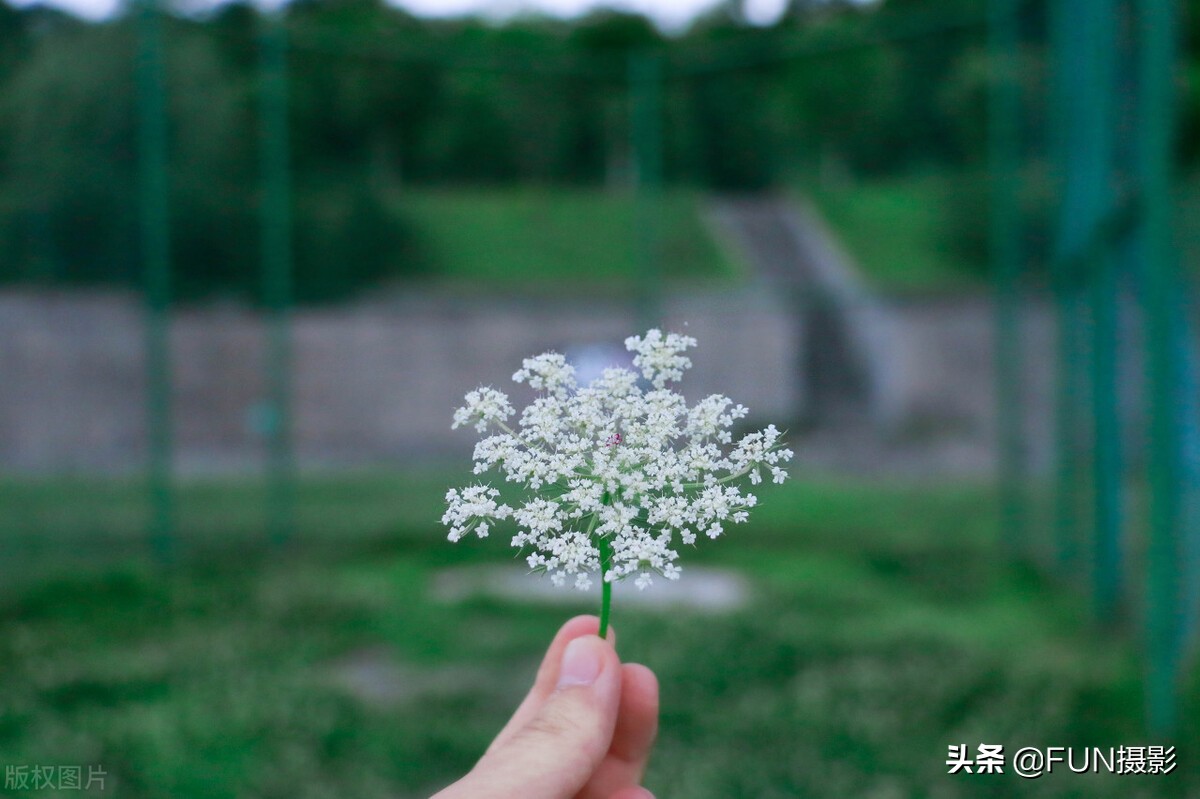 10个摄影技巧教你用手机拍出大片,掌握这十二个拍摄小技巧