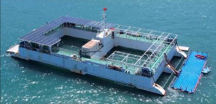 “惊涛拍岸”也是新能源？中国人要对海洋下狠手了？