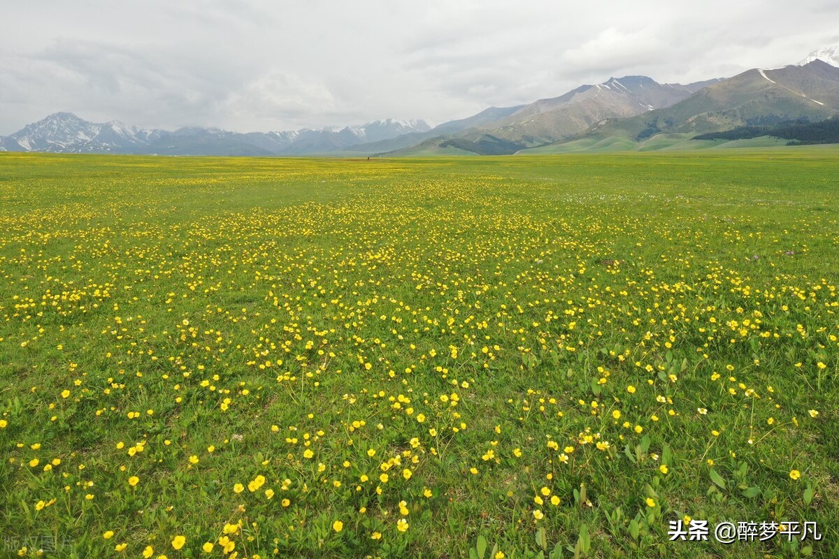 赛里木湖疆内户籍免费吗,赛里木湖疆内旅游团