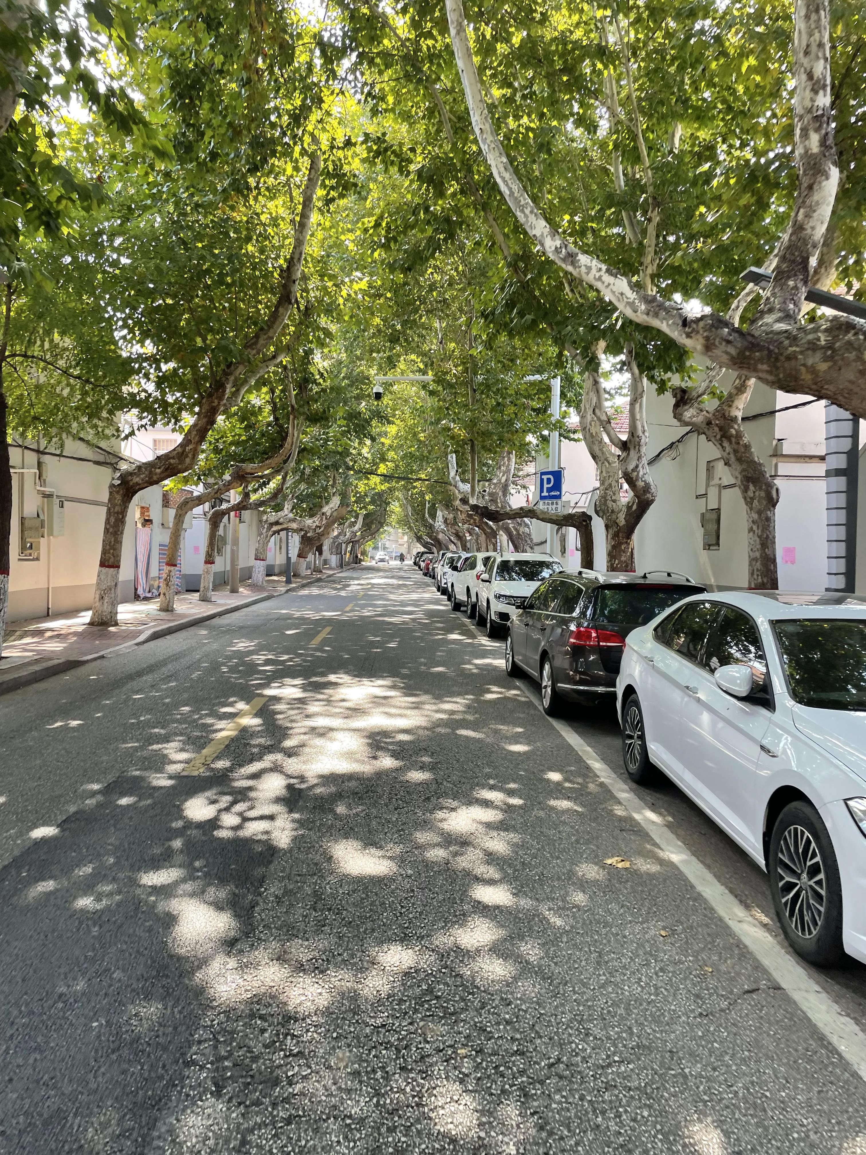 城阳印象婚宴厅,城阳印象江南宴会价目表