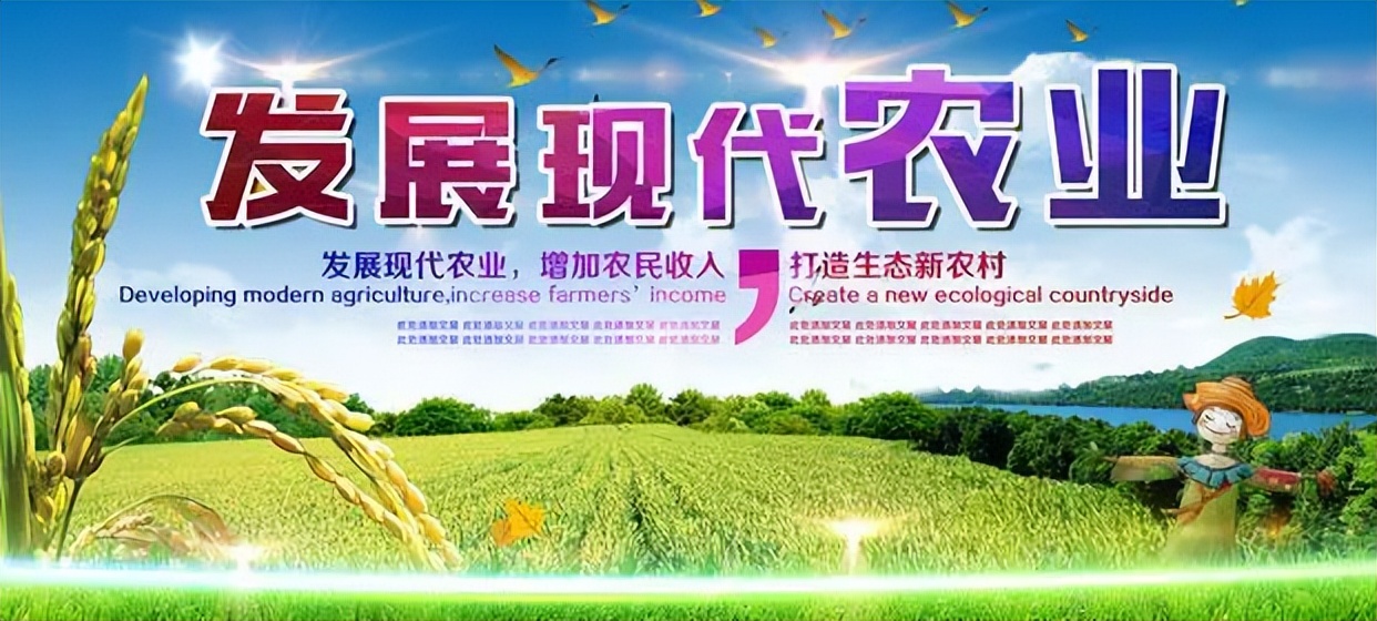 如何通过政策支持农业可持续发展,农业可持续性发展的理论与实践