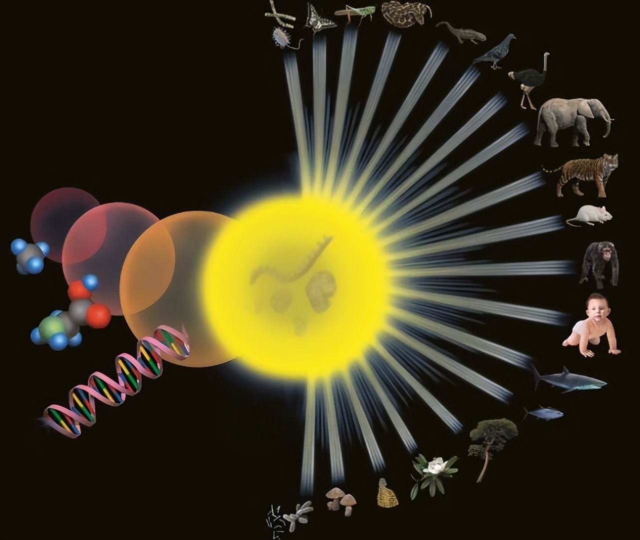 人类为啥无法发现外星人,为什么人类始终无法发现外星人