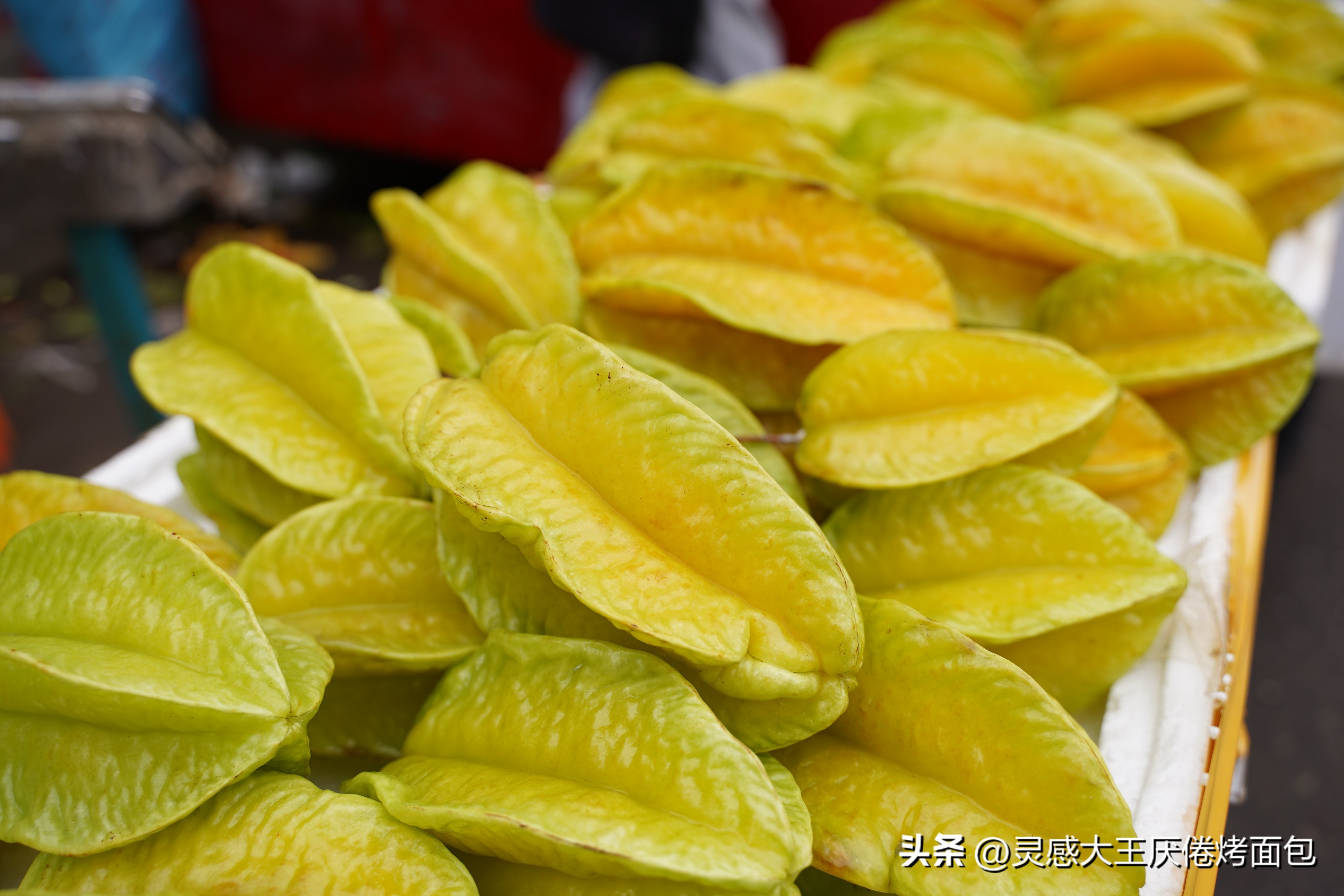 海南万宁有哪些大型农贸市场,海南万宁和乐菜市场