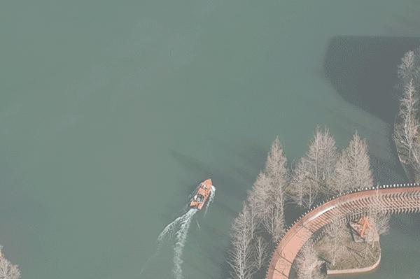 逸享自在的湖岸艺术“家”|ACEDESIGN