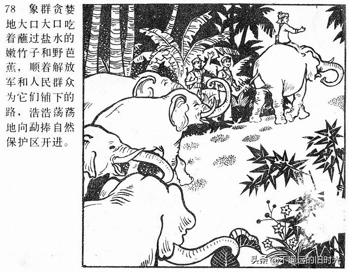 大象搬家,大象搬家河北