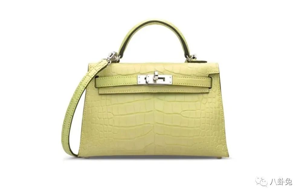 爱马仕拍卖会捡漏kelly,爱马仕2023拍卖