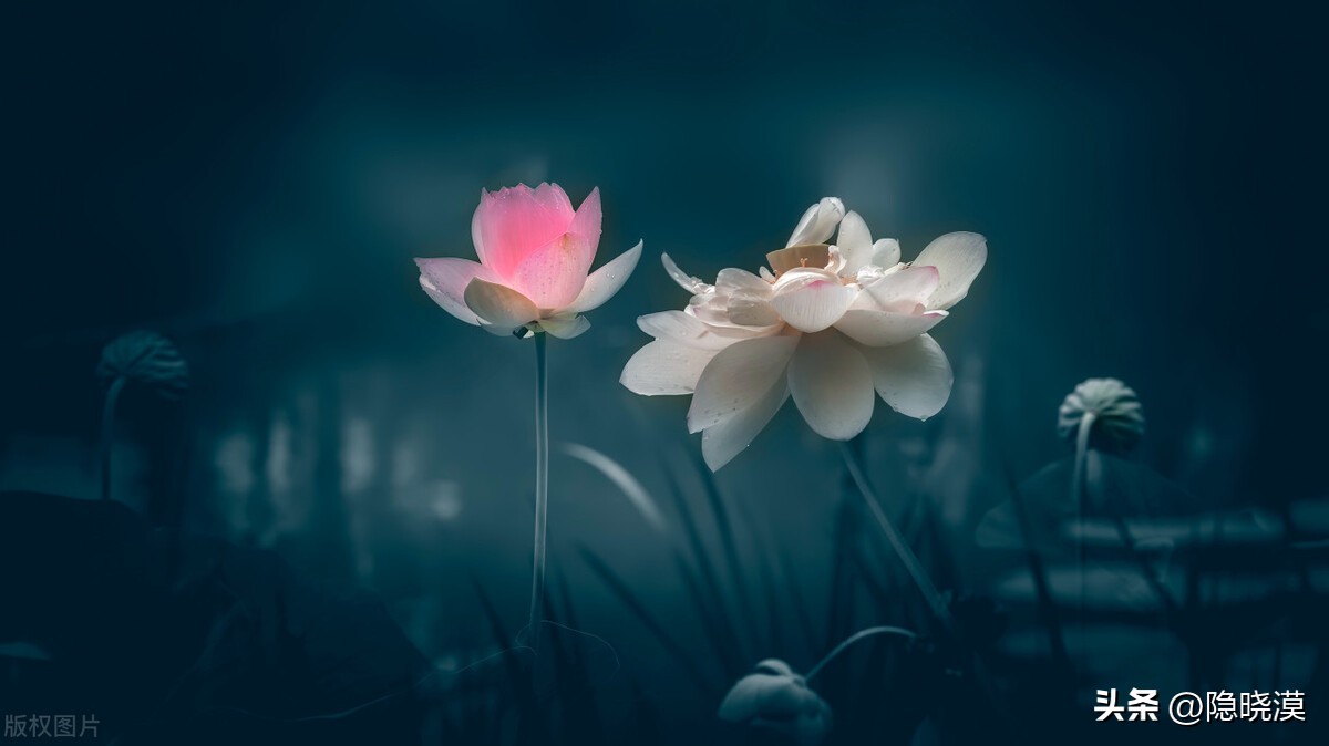 朋友圈励志文案选一句温暖自己,朋友圈文案霸气经典语录