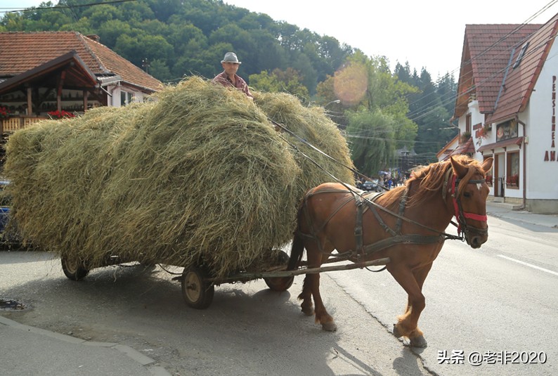 罗马尼亚冷知识100个,罗马尼亚旅游注意哪些