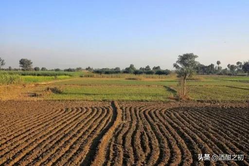 乡土小说：男欢女爱（八）