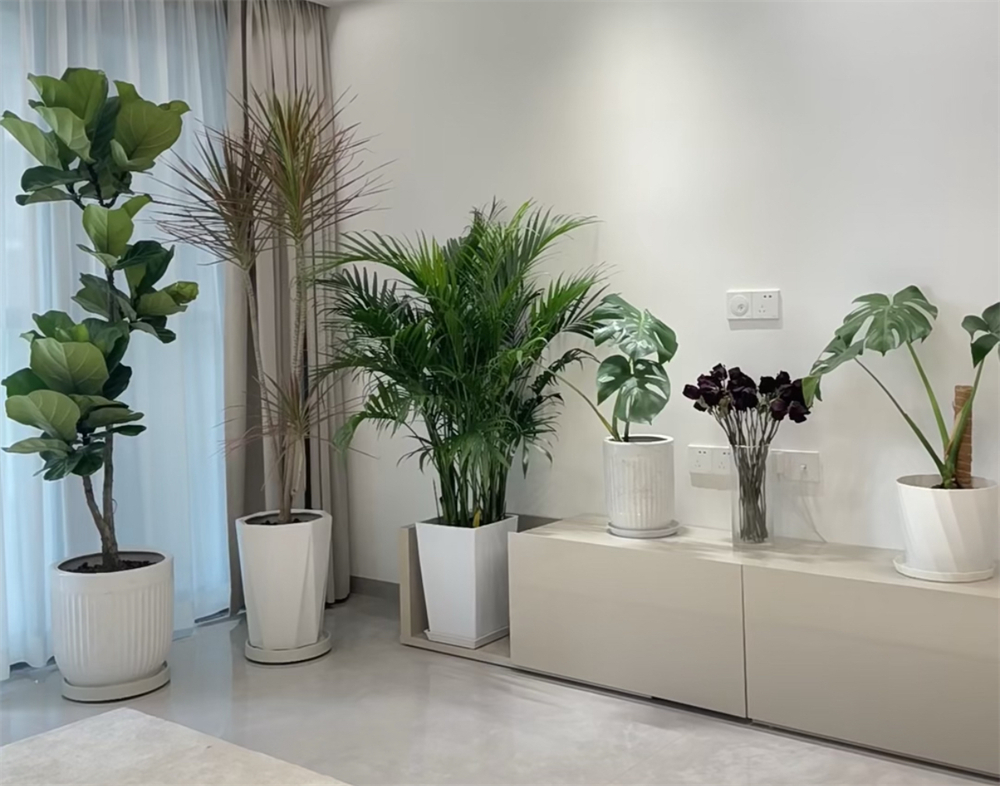 家里装修很土怎么补救,装修土味