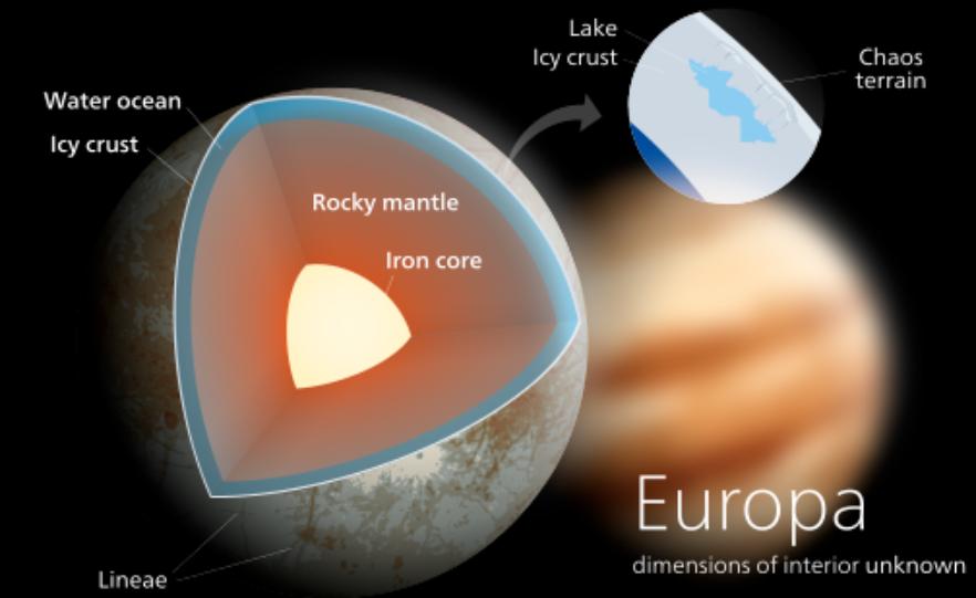 木卫二上的海洋中存在的外星生命 (木卫二有章鱼吗)