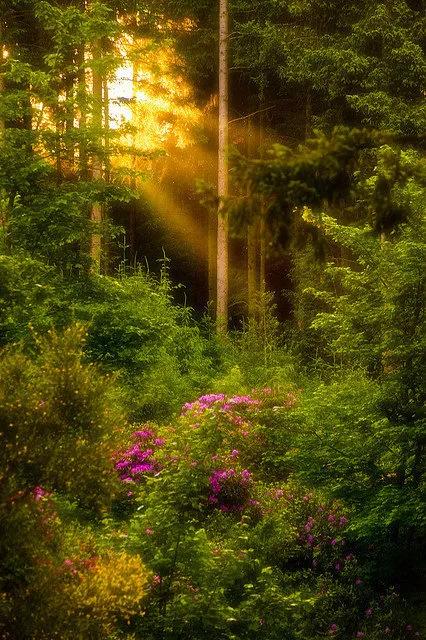 一个人最好的状态就是努力与梦想,一个人最好的状态是努力成长