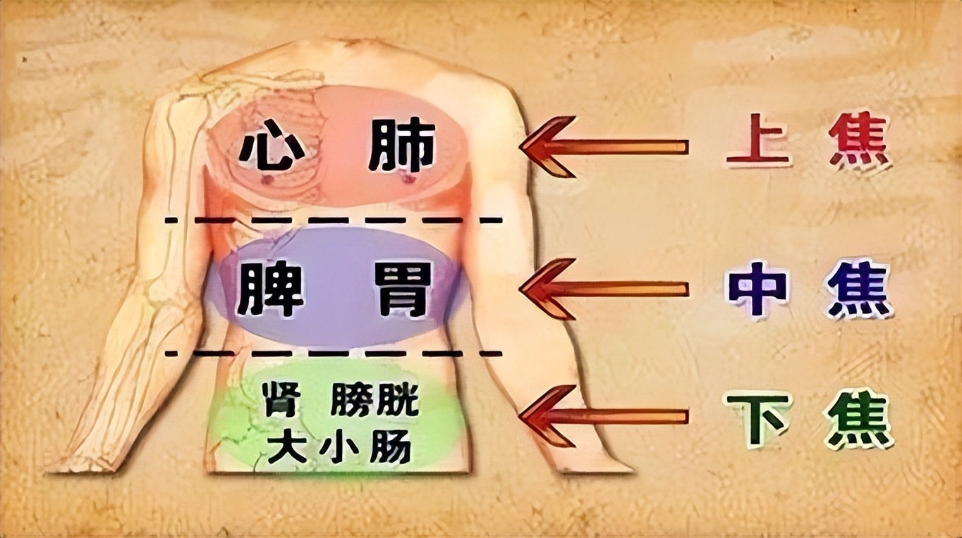 上热下寒一味药就好的视频,上热下寒打通中焦的穴位