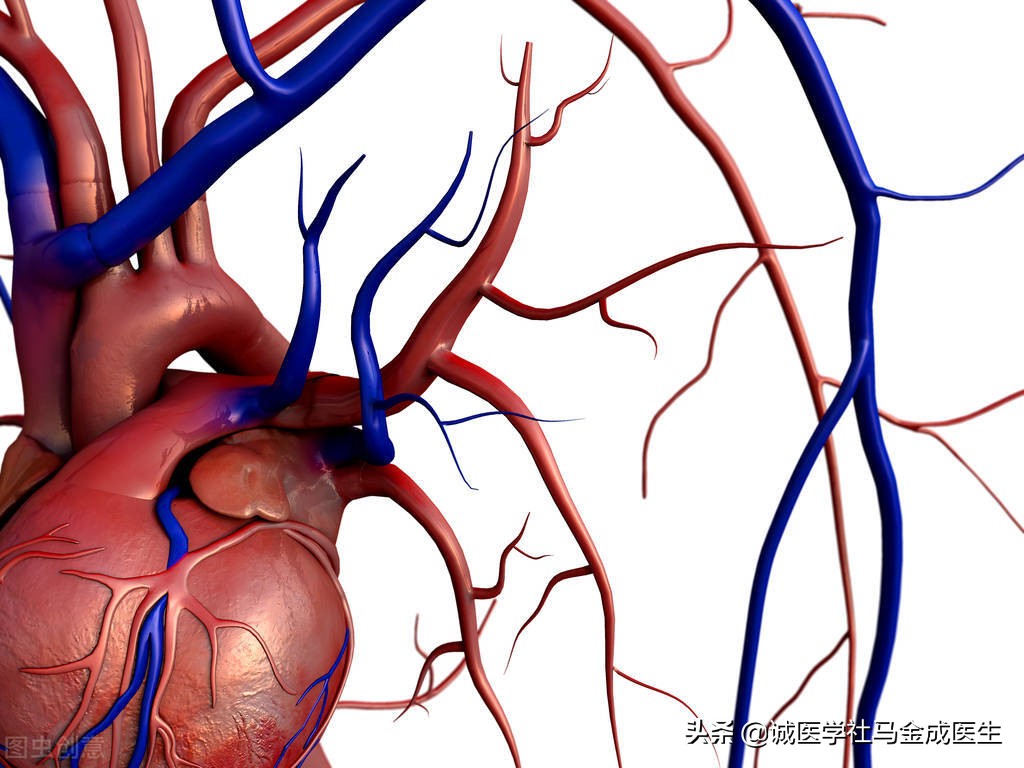 补益心脾固摄精气中成药,补上气血的中成药