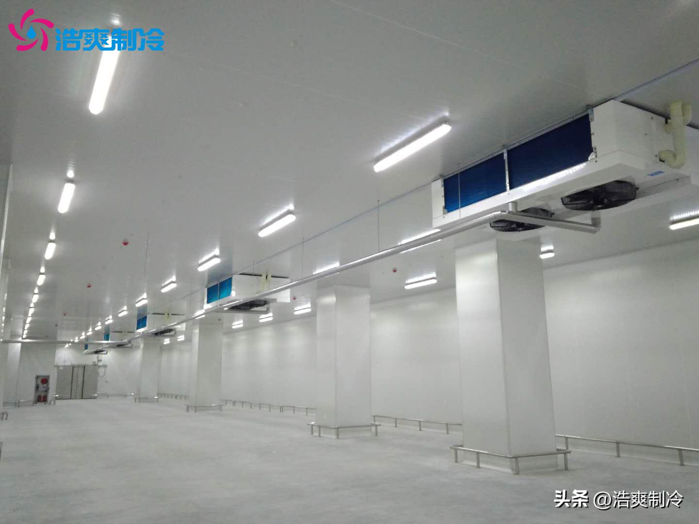 建造1500平米食品冷库,食品冷库工程建造价格