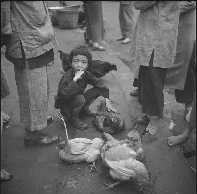 日军罪行照片：攻陷香港后兽性毕露，当场轮番侵犯新婚女明星