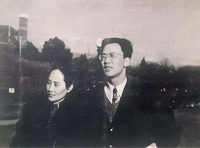 华罗庚所说过的话,华罗庚的最后演讲