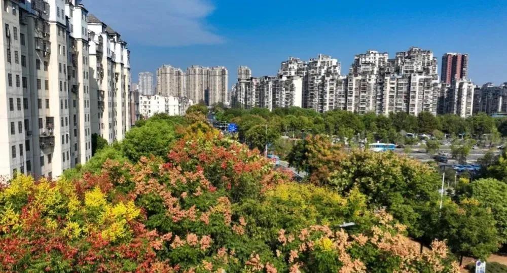 湾里商超,湾里为什么发展不起来