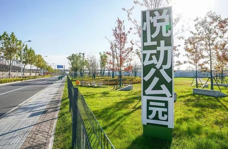 上海过年遛娃适合去哪度假,上海浦东遛娃圣地