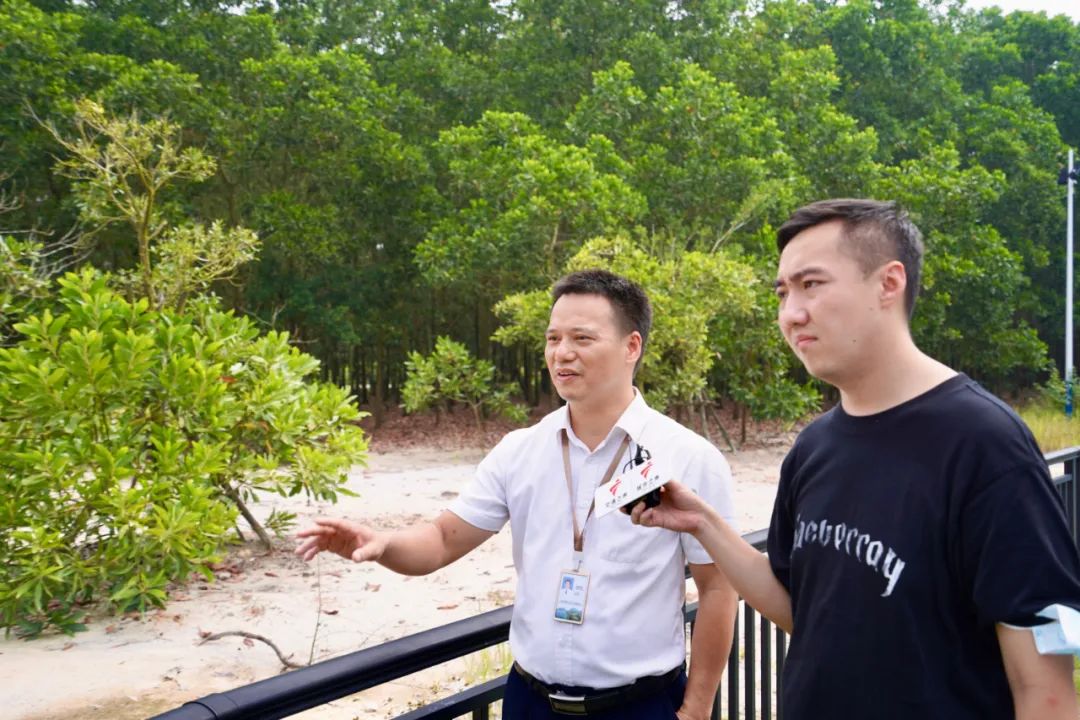 了不起的露天矿——踩着“金库”建公园（美图高能）