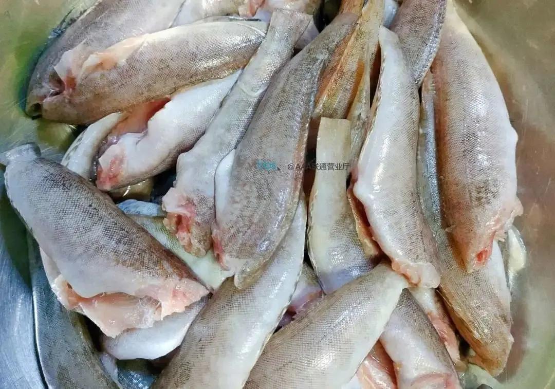 烟台最好吃的鱼,烟台特色大面鱼