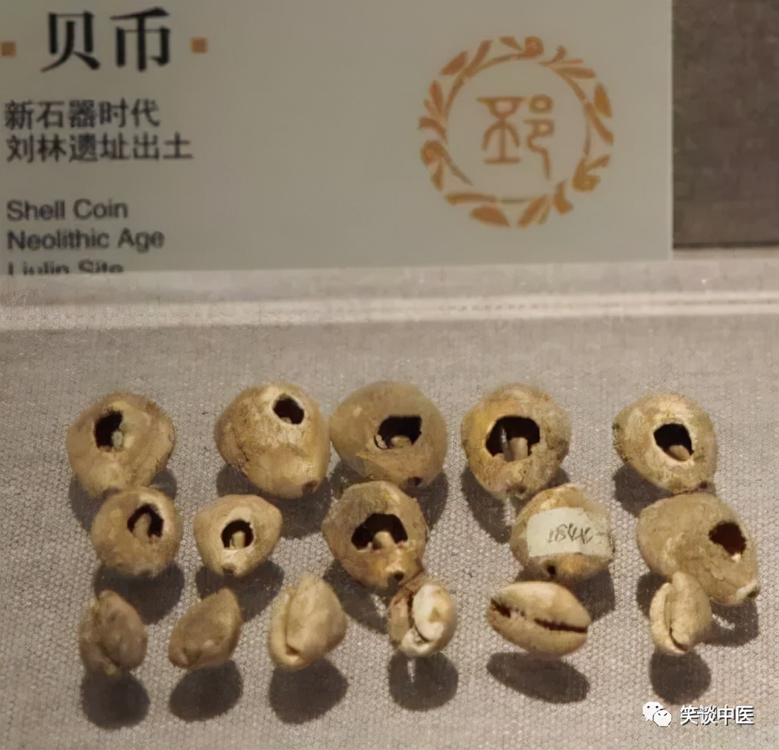 高血压要药：中药紫贝齿，曾比黄金值钱！缅怀杨大绮先生