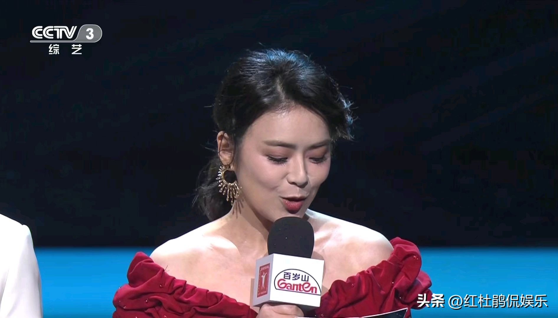 陈辰英文主持视频,陈辰张国立蓝羽