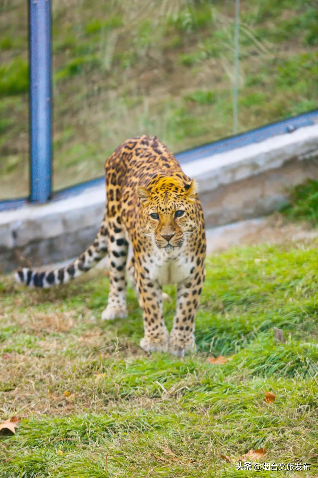 烟台值得去的公园,烟台旅游指南探索烟台最美景点