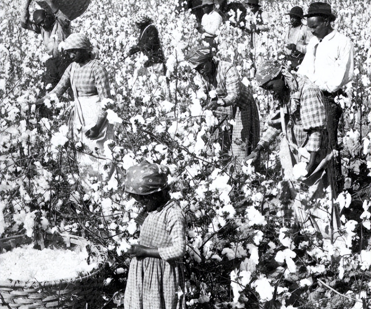 美国黑奴悲惨历史,80年代黑奴的血泪史电影