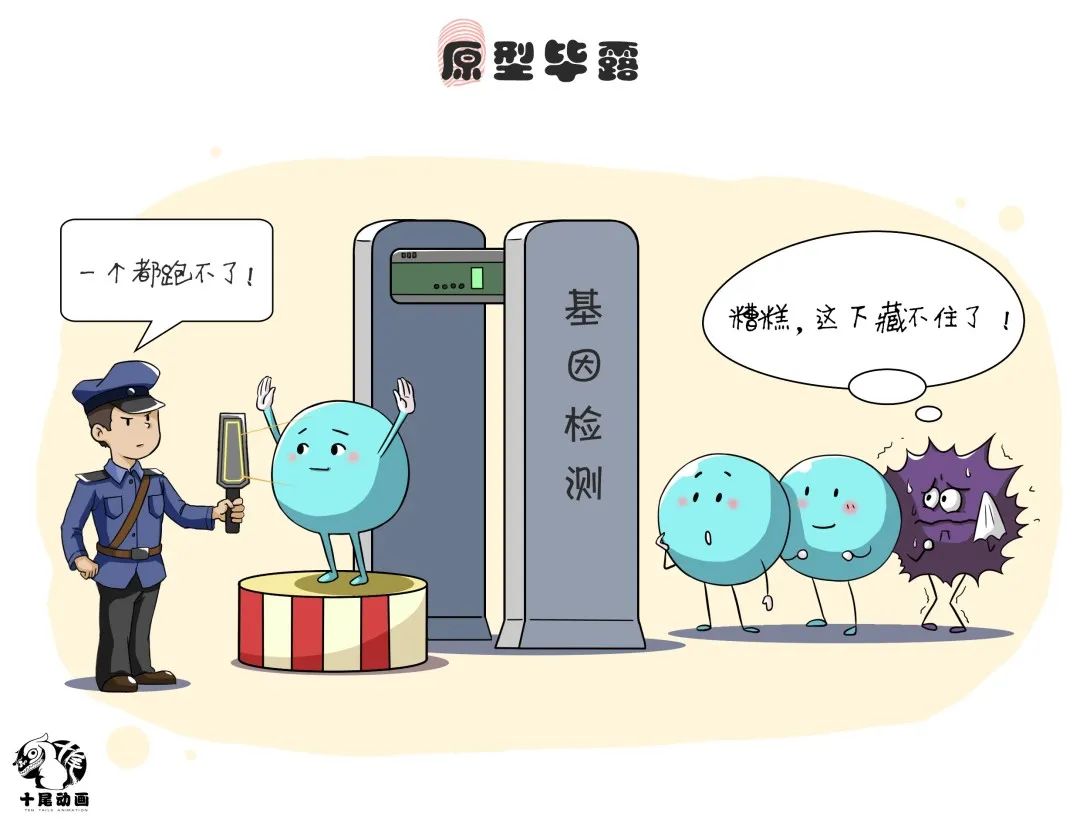 什么是靶向药治疗什么癌,什么是靶向治疗是怎么杀死肿瘤的