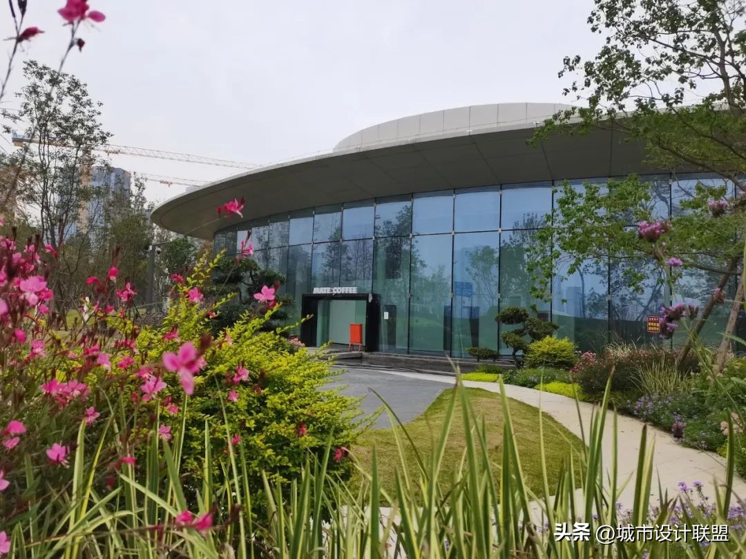 成都值得一游的公园,夏季成都宝藏公园