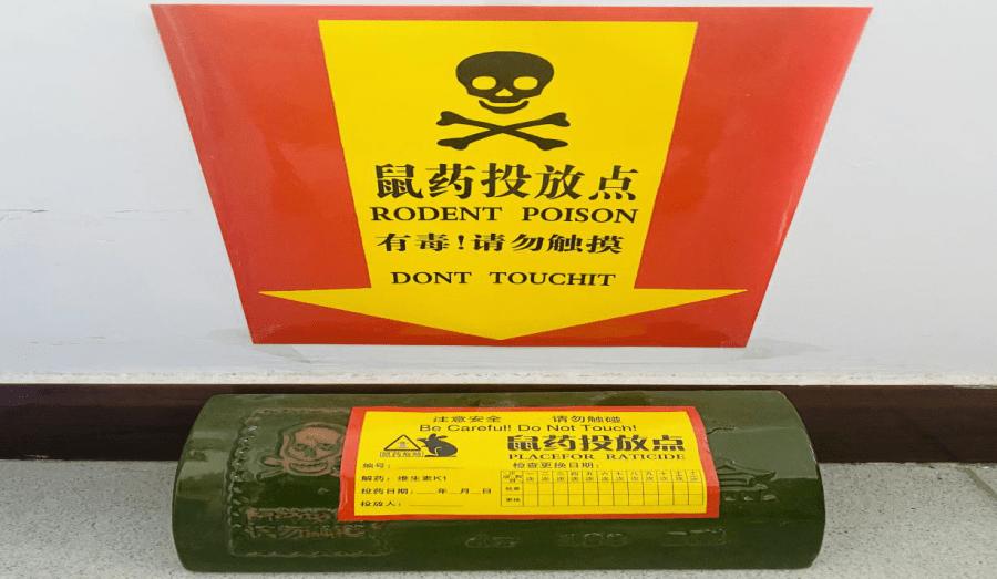 办公室有老鼠怎么彻底清除,办公室灭老鼠最好方法