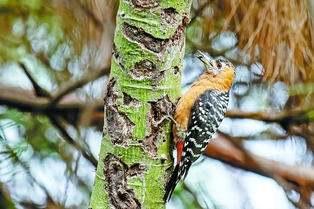 厦门最大的新开公园,厦门比较大的公园