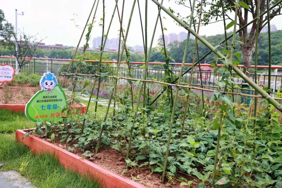 一米高视角,一米高的视角