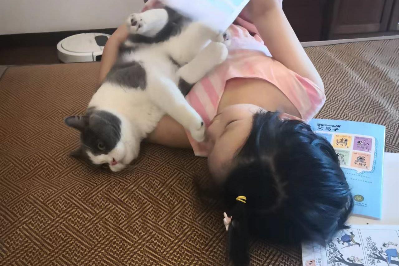 两个小东西,一个是宠物,还有一个是?