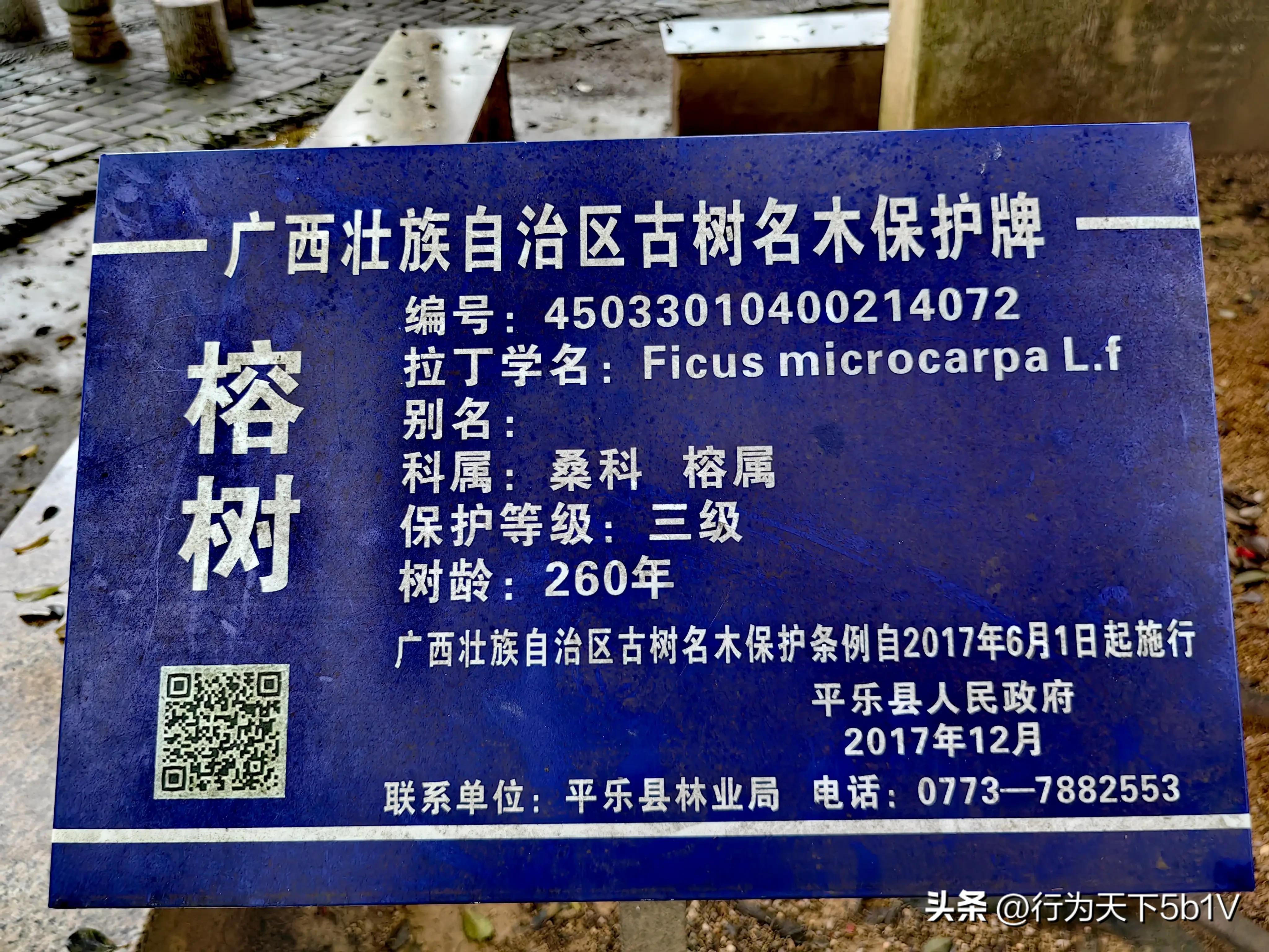 【平乐十里画廊鬼斧神工伟人石像】穿越唐*平宋**乐榕津千年古镇！