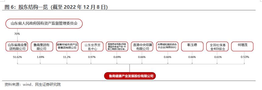 房地产转型大健康产业,2020鲁商发展房地产业务